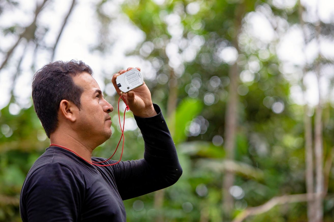 Seeds of hope the charity helping to replant Peru's rainforest